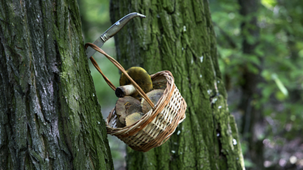    Nikolay Gyngazov/Globallookpress