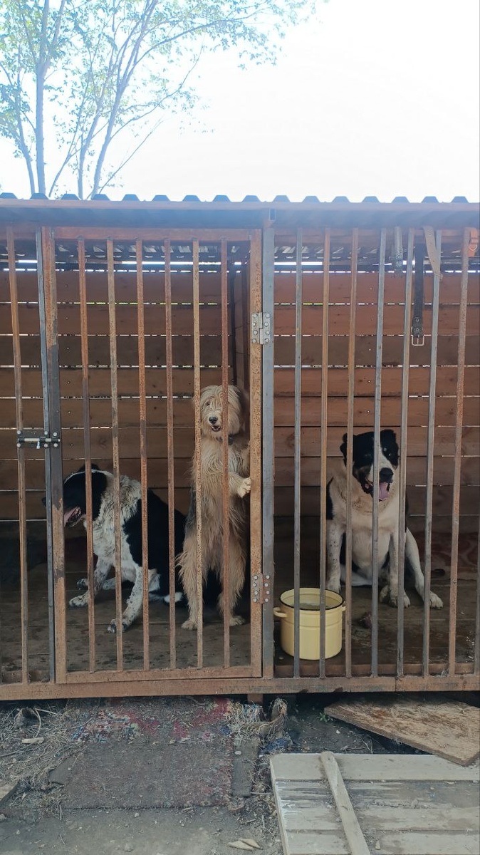 Электроник передает вам привет