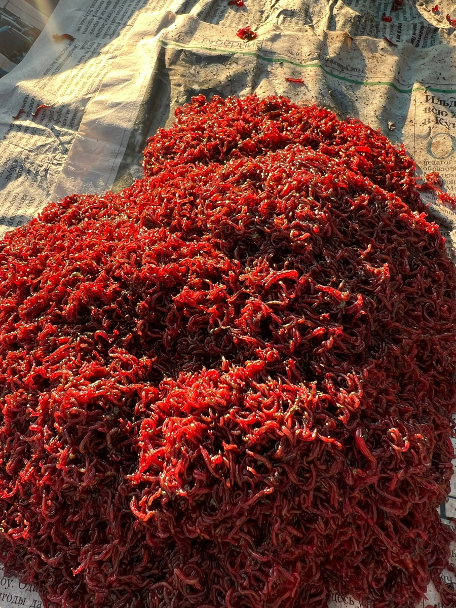 Спортивные объемы.