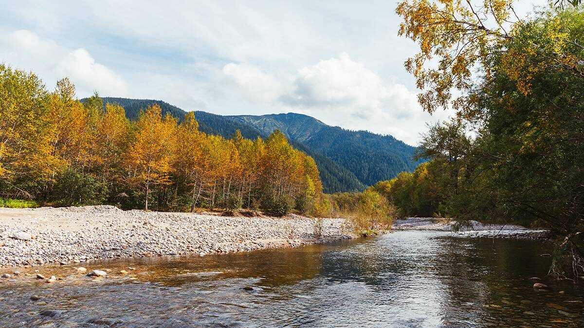    Фото: Shutterstock