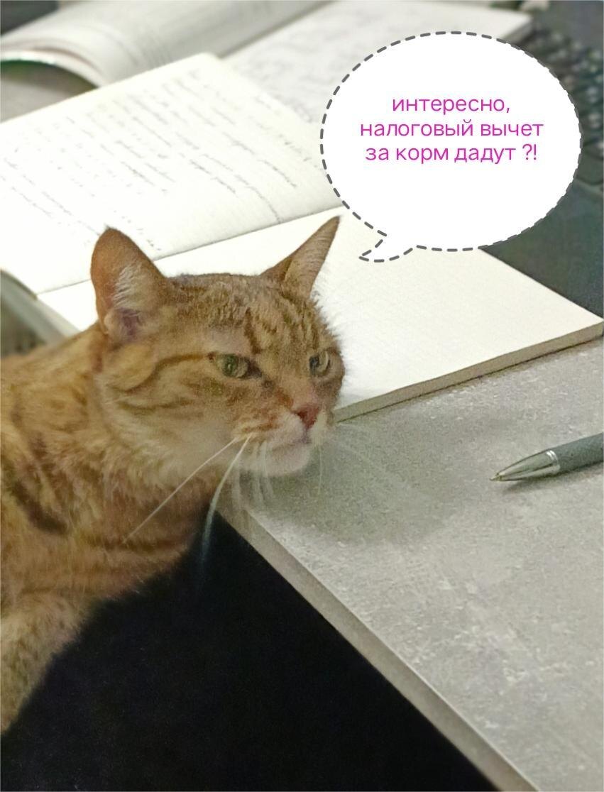 Изображение создано Автором канала ГерАтриум