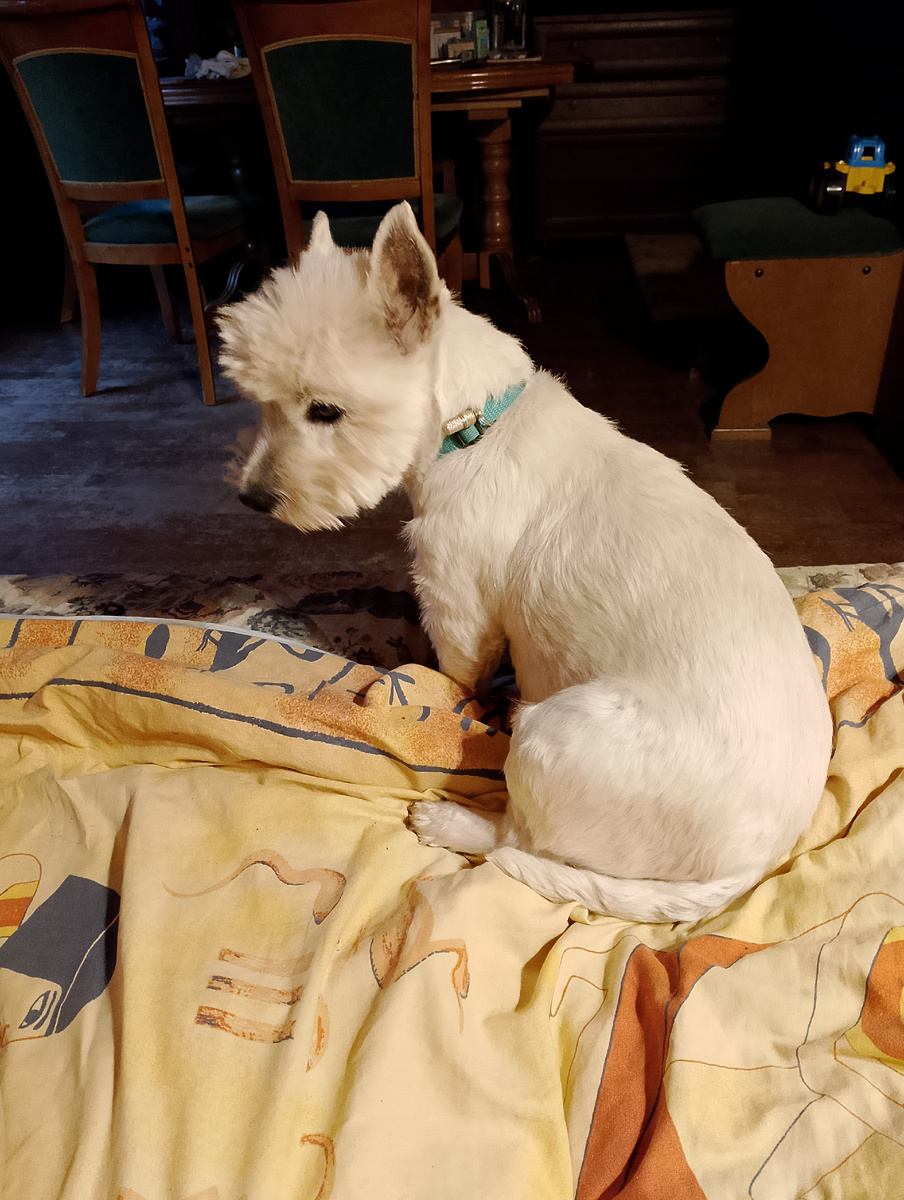 хотя бы вот такую