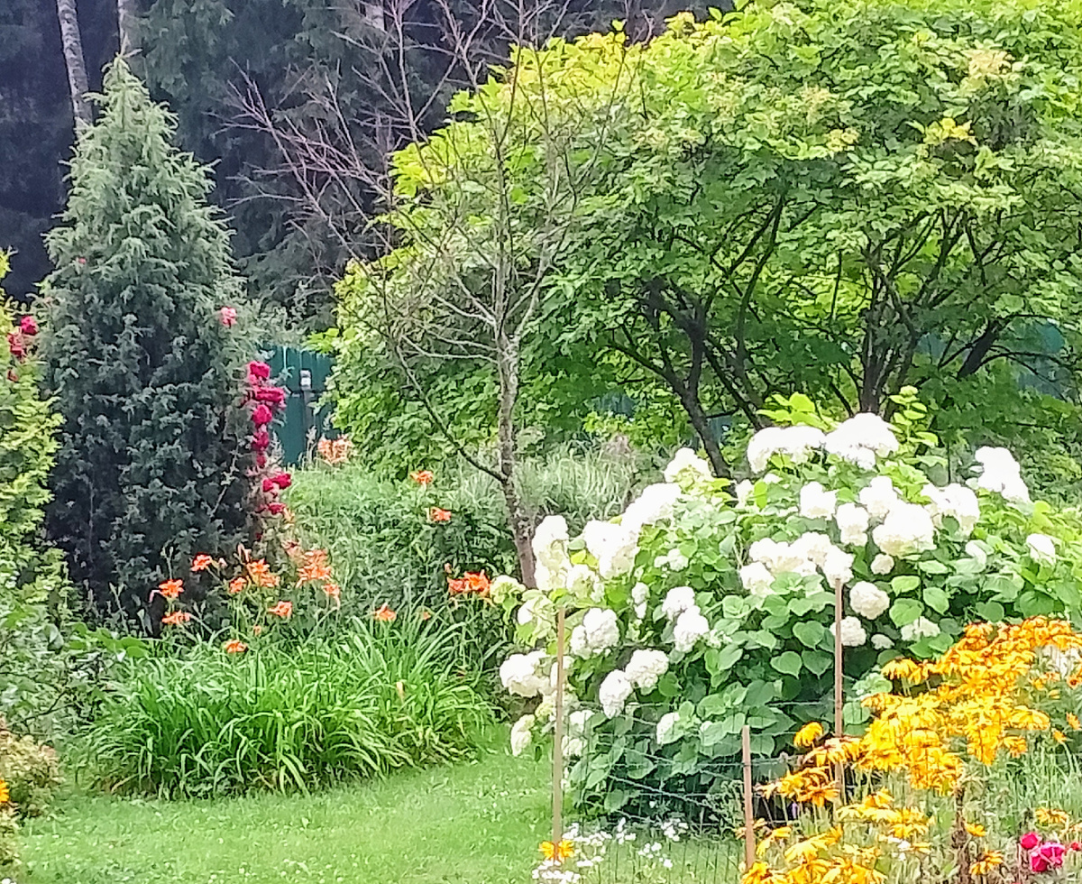 две секунды назад здесь была собачка...