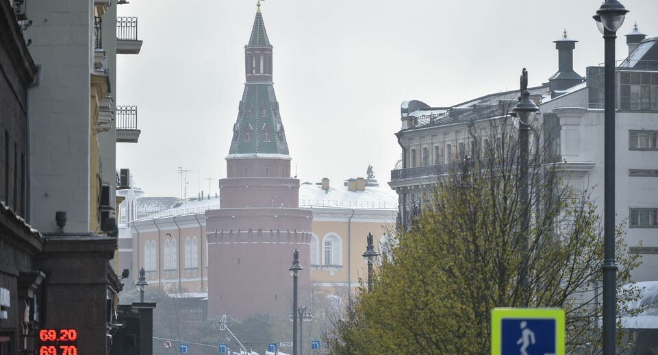    Посадка лип на Тверской улице / Медиасток.рф