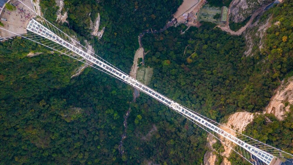    Фото: Potus/Shutterstock/Fotodom