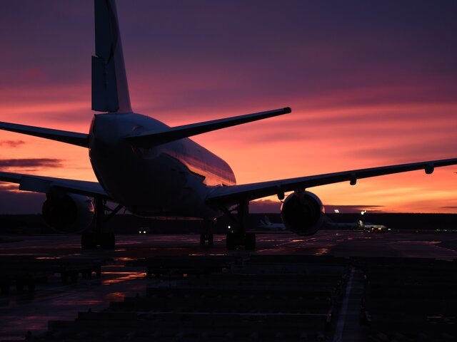    Фото: Москва 24/Никита Симонов