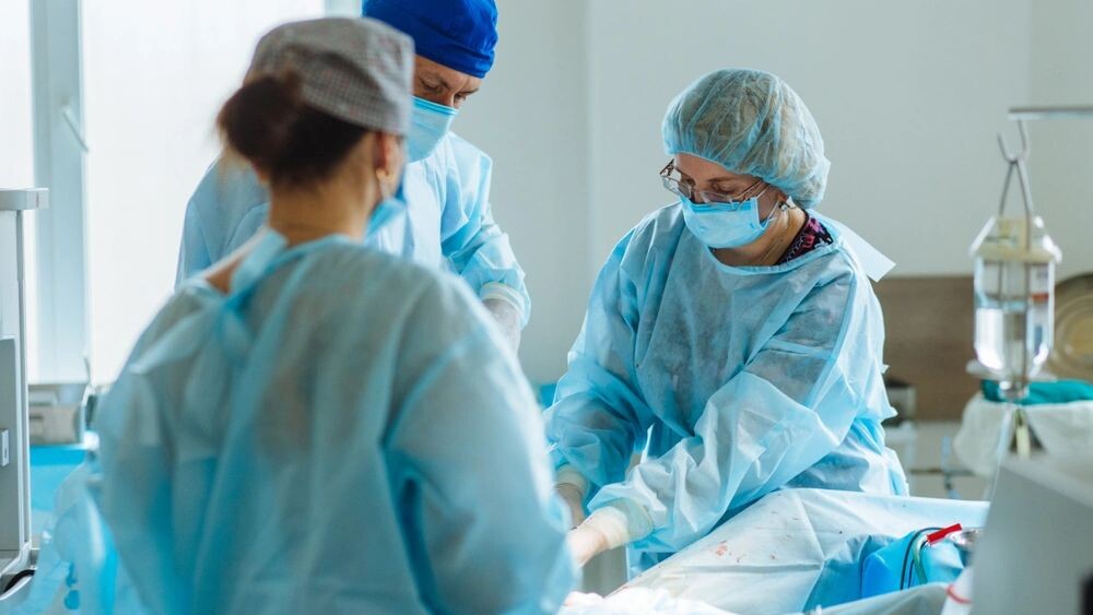    Фото: Iryna Inshyna/Shutterstock/Fotodom