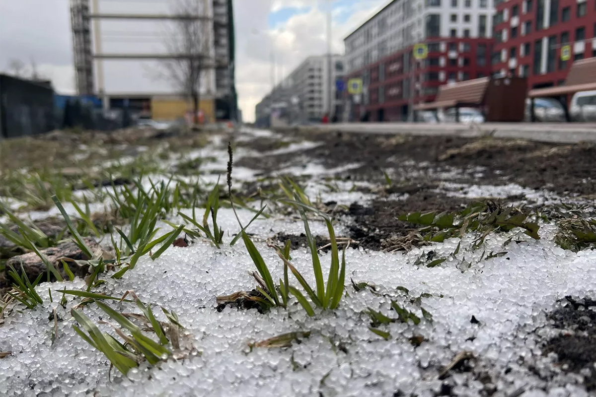    Фото: Каролина Кренделева, источник: РИА Новости