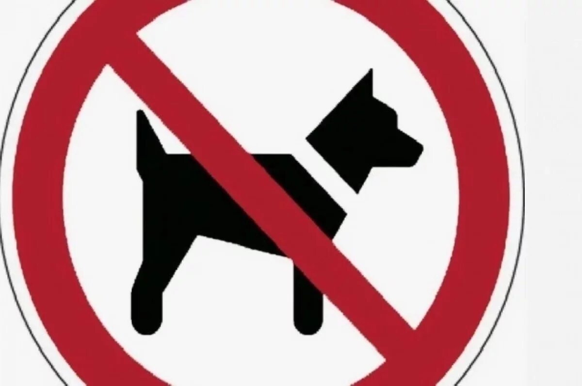    В Якутске отловили более 50 безнадзорных собак с начала года