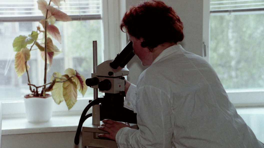    Victor Lisitsyn/Global Look Press