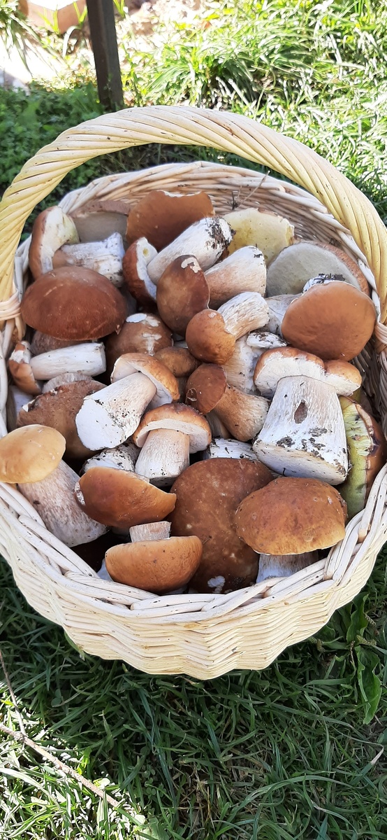 Фото - Сергей Петров