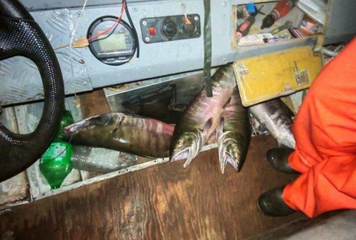    Фото:Пресс-служба УМВД России по Хабаровскому краю