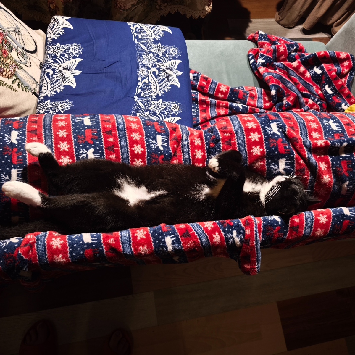 Котейка спит в удобной нише на диване