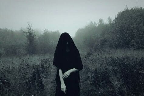 Изображение взято из открытых источников интернета. 