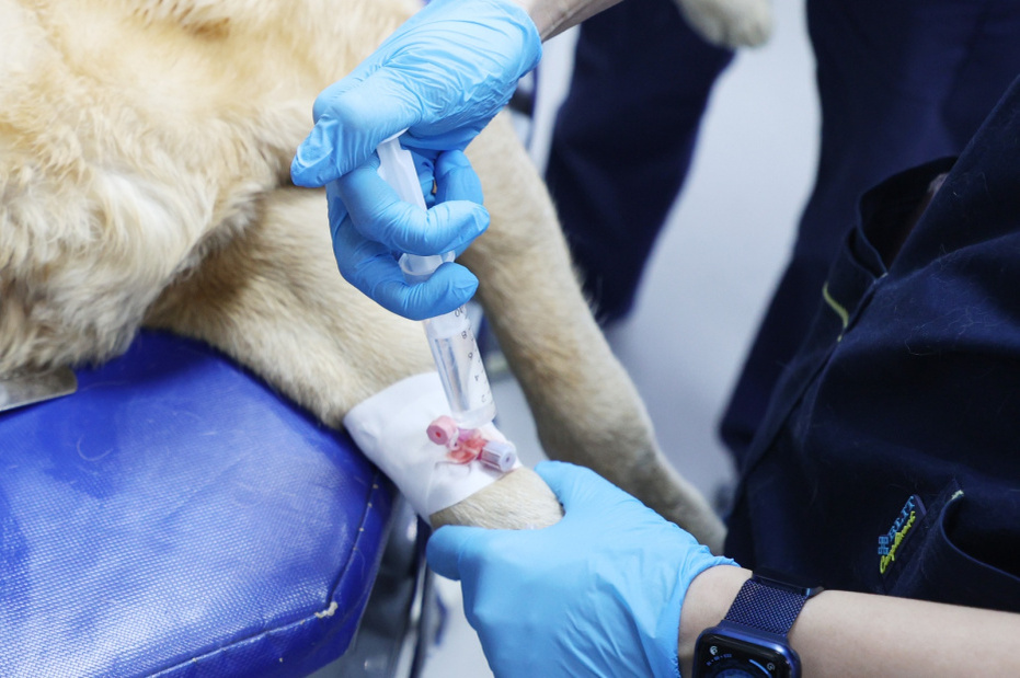    Артём Соболев/NEWS.ru