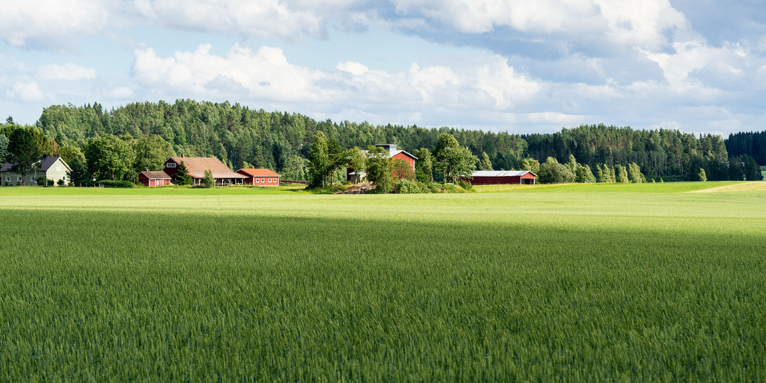 Забудьте про «нет сети»: как спутниковый интернет меняет жизнь вдали от города