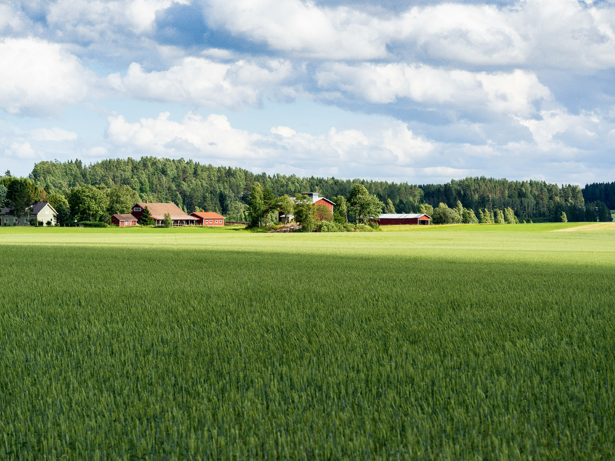 Photo by Sini Tiainen on Unsplash