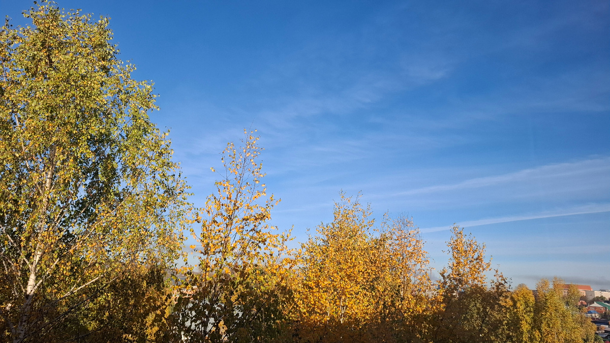 Вид из окна