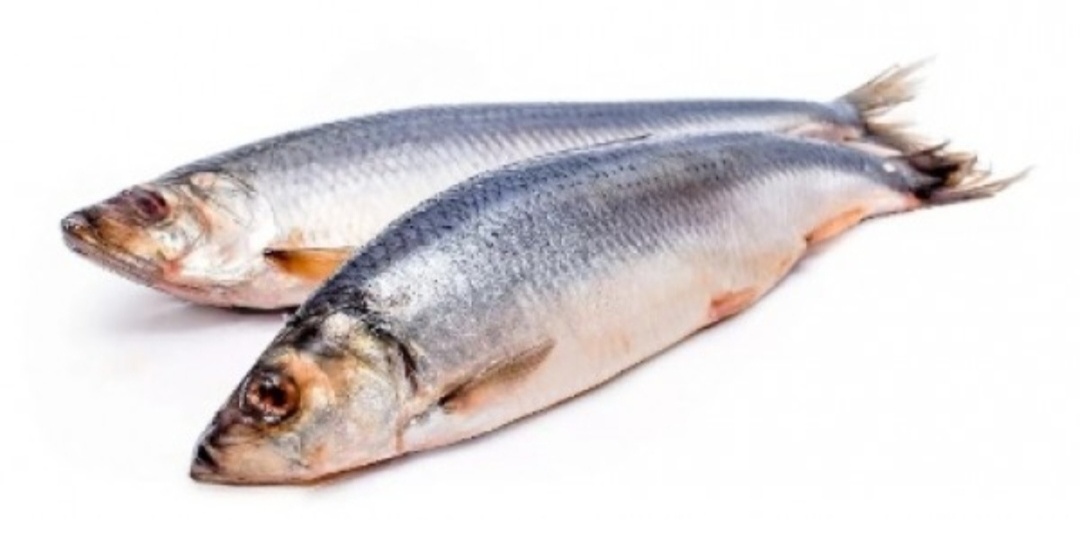 Солите селедку дома, а не покупайте пересоленную в магазине. Рецепт очень простой и не требует много затрат и усилий.