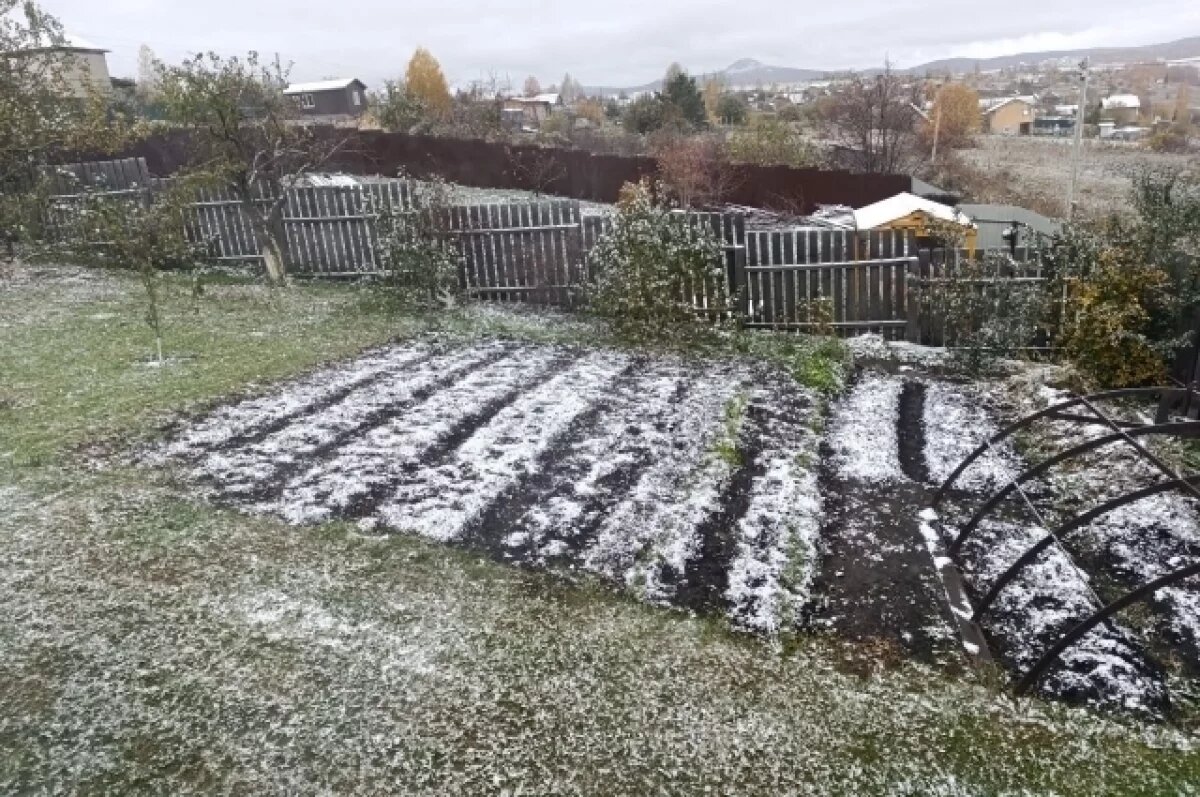    Первый снег неожиданно выпал в Красноярске
