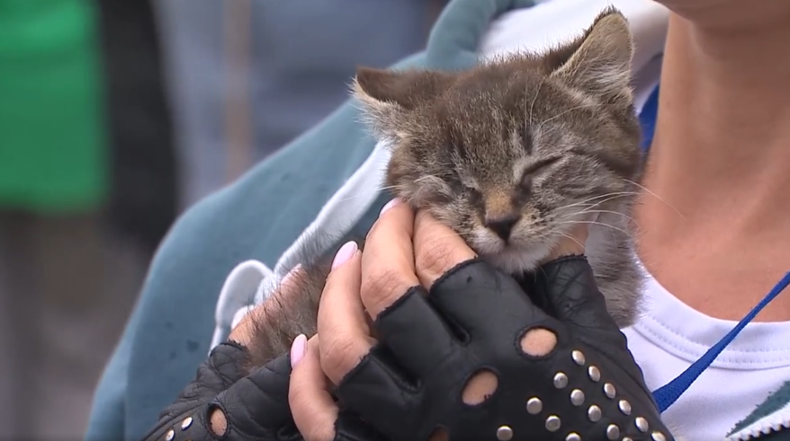    Источник фото: