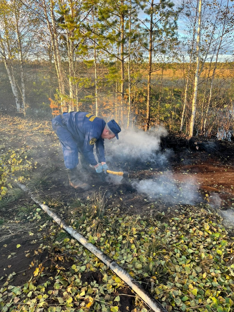    Торфяник вновь вспыхнул у самой веселой деревни КарелииОПС по Пряжинскому району
