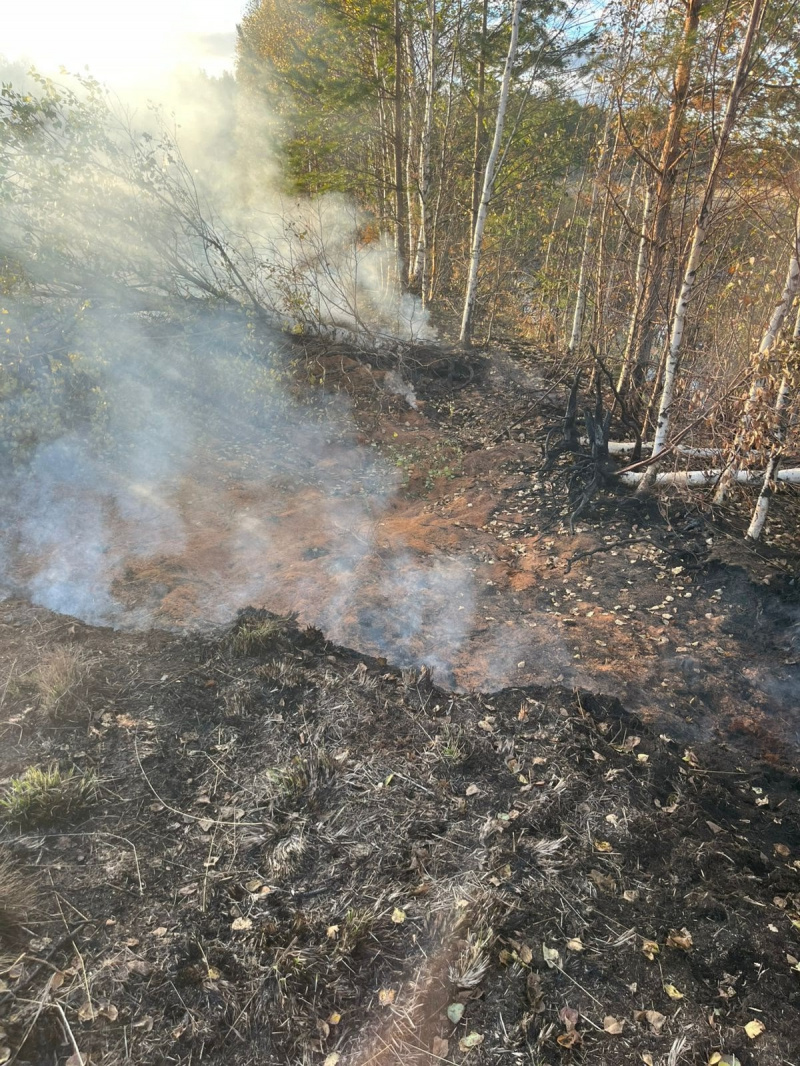    Торфяник вновь вспыхнул у самой веселой деревни КарелииОПС по Пряжинскому району