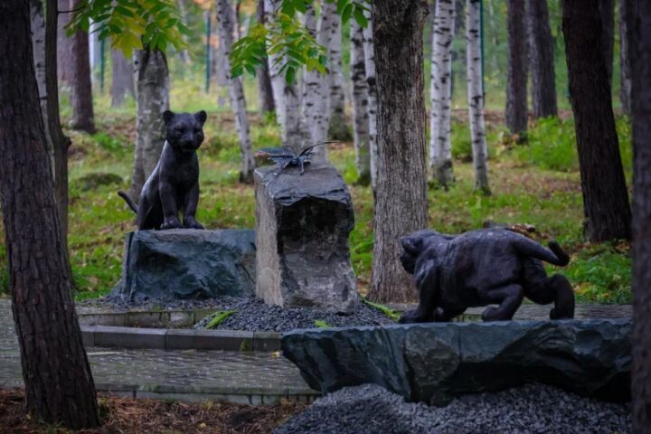    Фото:Центр «Амурский тигр» / Управление охотничьего хозяйства правительства Хабаровского края