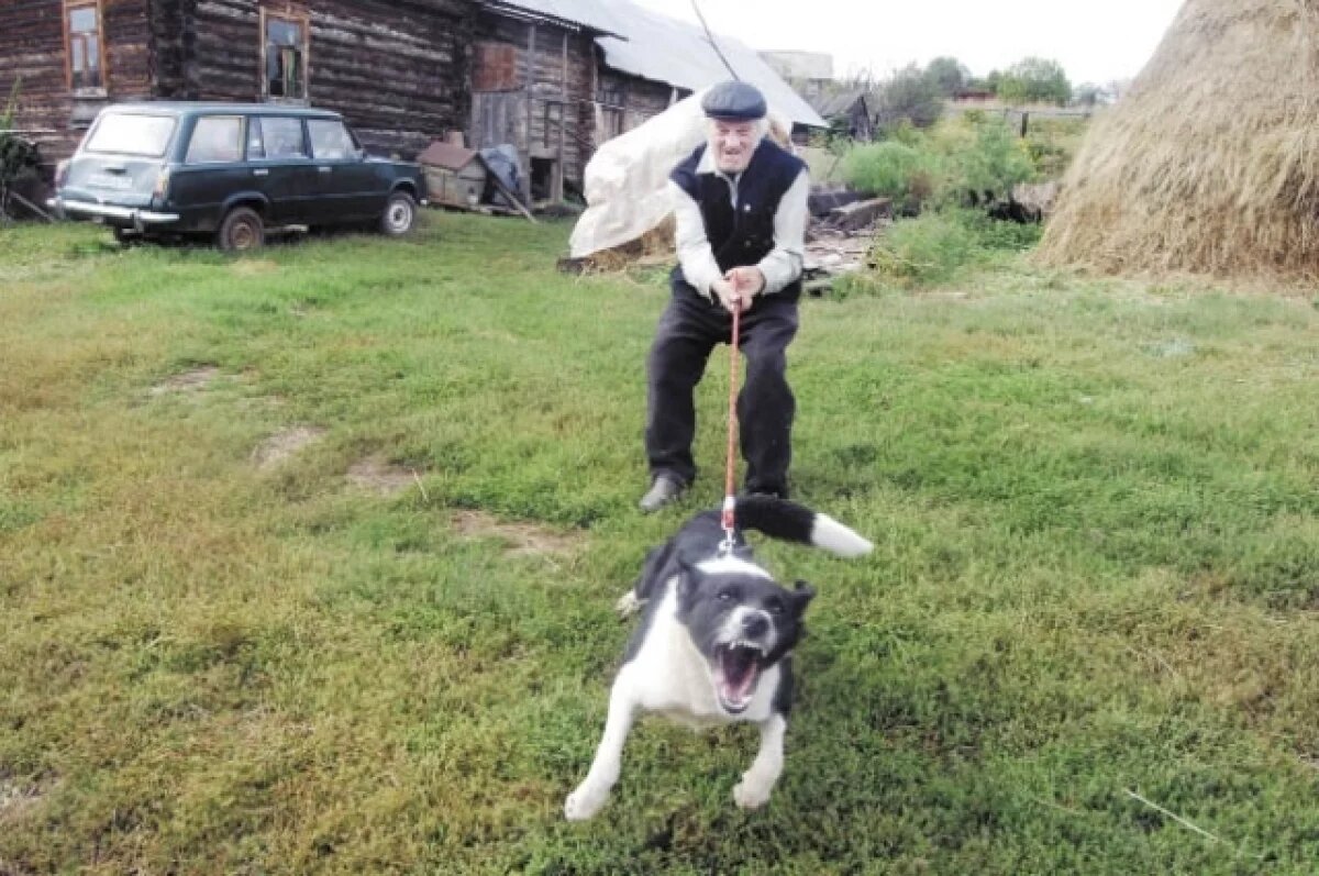    Более 60 случаев укусов дикими животными зафиксировано в Томской области