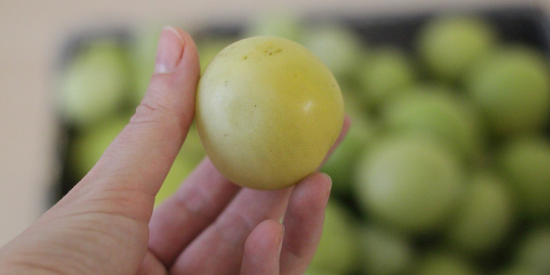 На Новый год со своими помидорами: сорт, который хранится 3 месяца