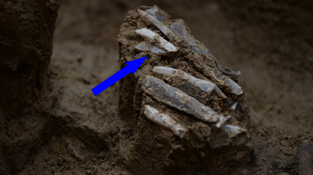    Уникальный артефакт из эпохи каменного века раскрывает секреты древних охотников и собиральщиков