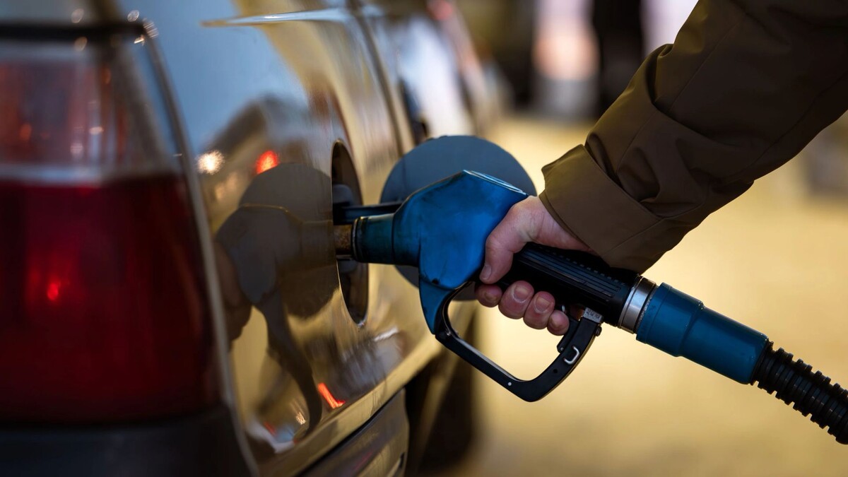    Фото: Юлия Чудинова / «Ямал-Медиа»