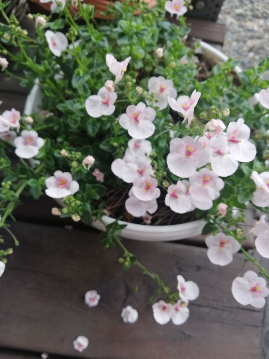 25 июня 2025 года