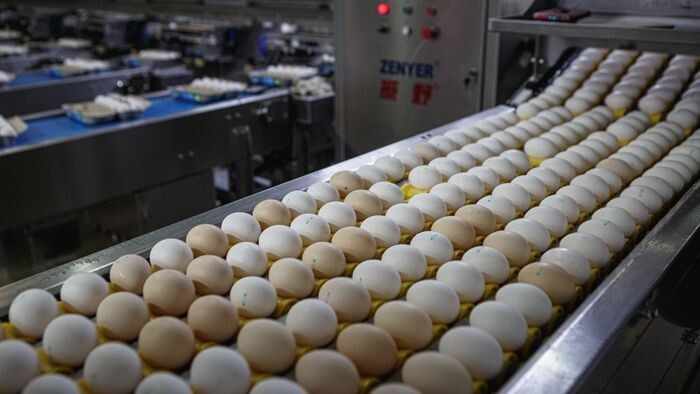    ООО ЛИТАН ГРУПП