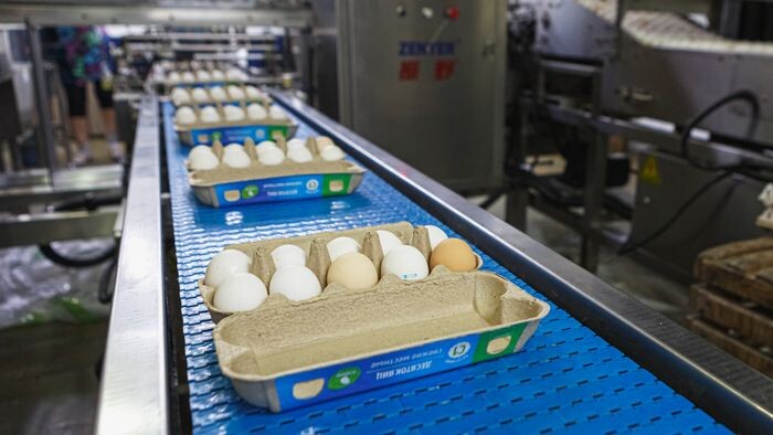    ООО ЛИТАН ГРУПП