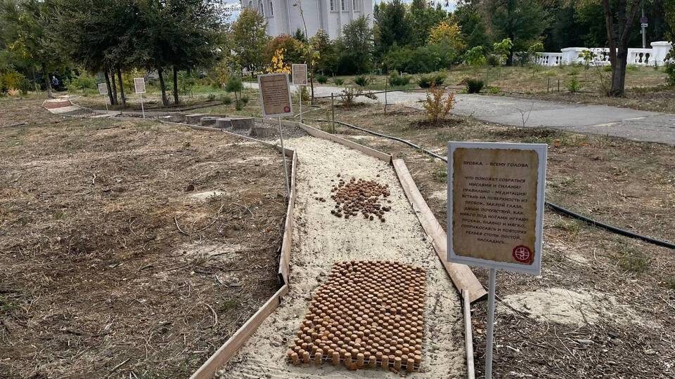    Фото: комитет здравоохранения Волгоградской области.