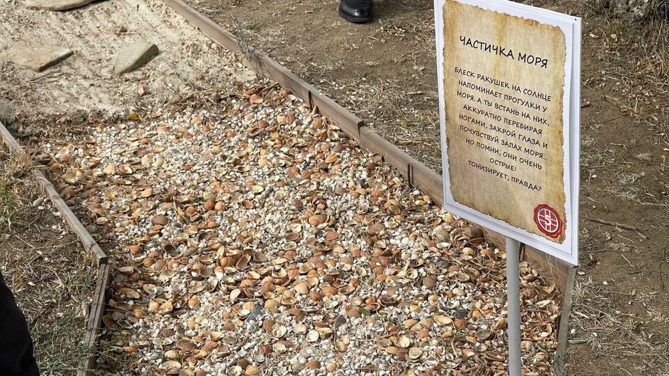    Фото: комитет здравоохранения Волгоградской области.