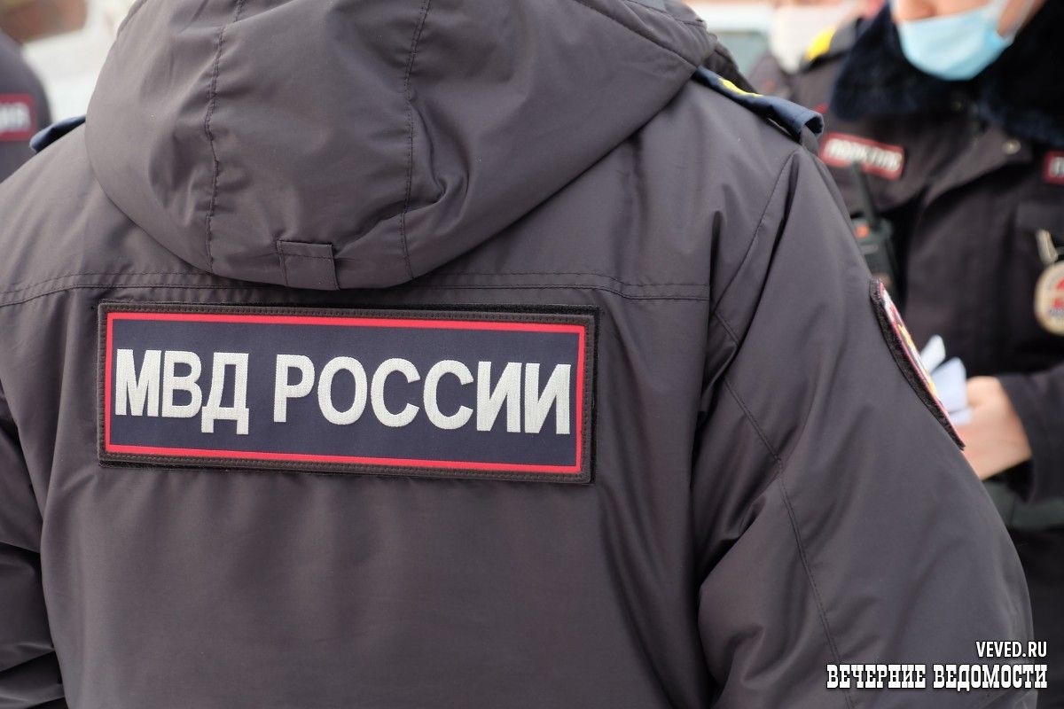     Фото: Владислав Постников / Вечерние ведомости