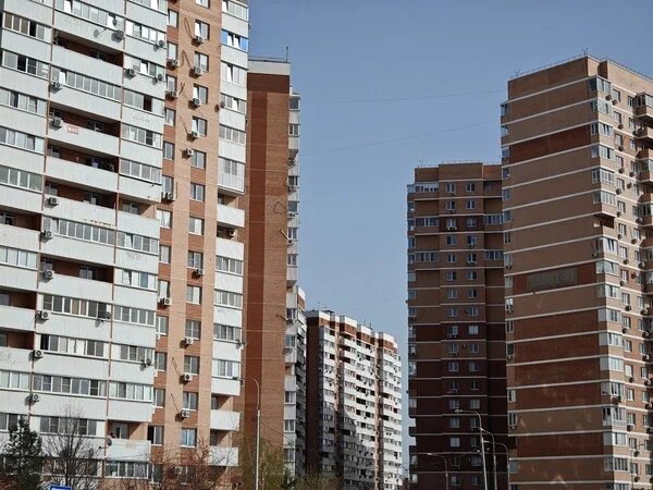    Фото: Юрий Серебренников/BFM Кубань