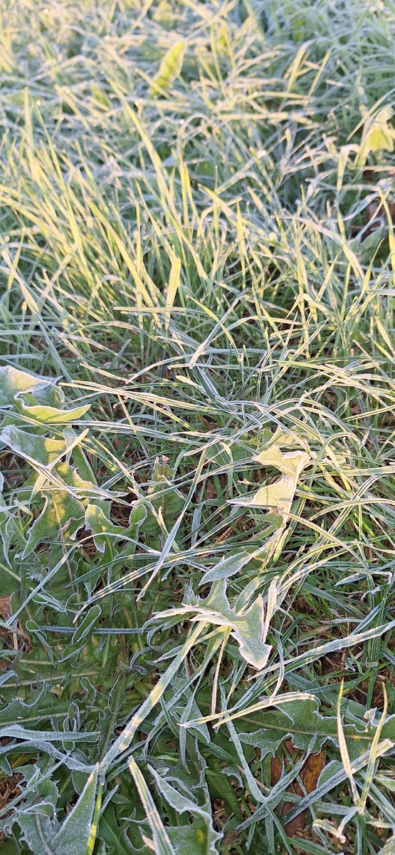 Фото автора утро.