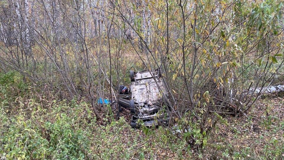    Смертельное ДТП в Новосибирской области . Источник: Госавтоинспекция Новосибирской области