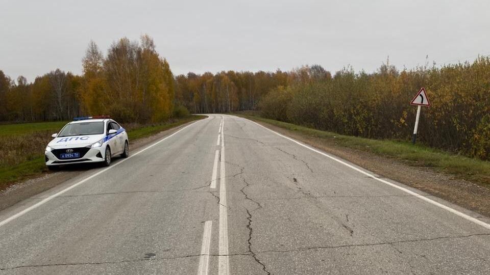    Смертельное ДТП в Новосибирской области . Источник: Госавтоинспекция Новосибирской области