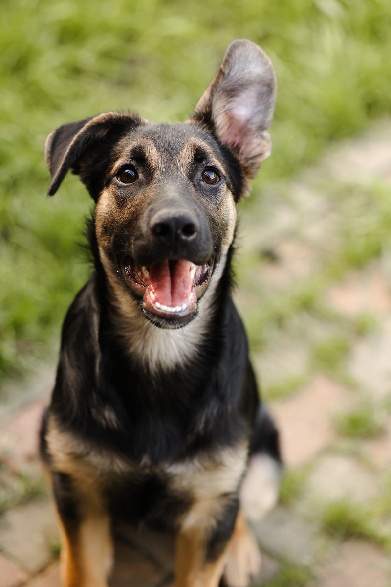 Я сам балдею от своих фотографий!