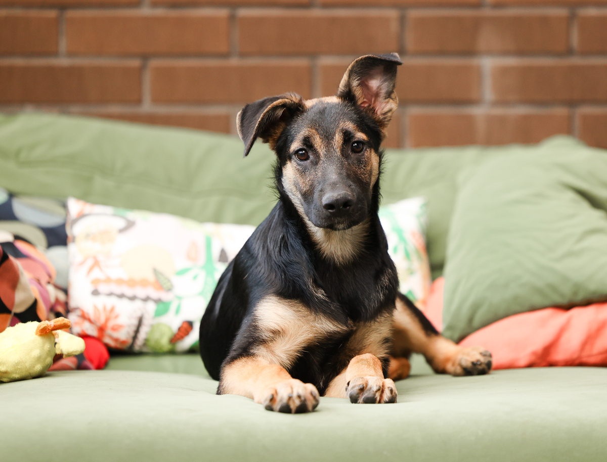 Да-да. Я знаю, что такое постель)))