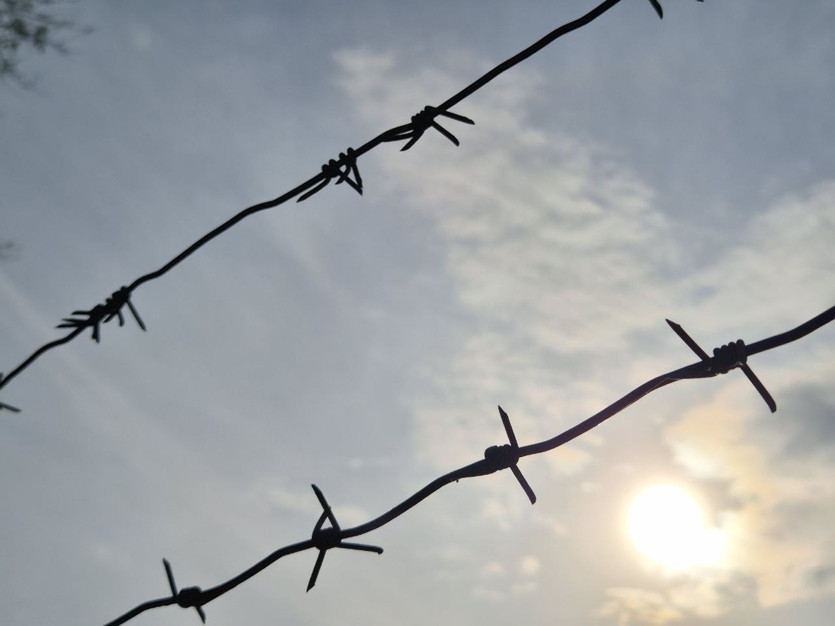    Фото: телеканал «Краснодар»