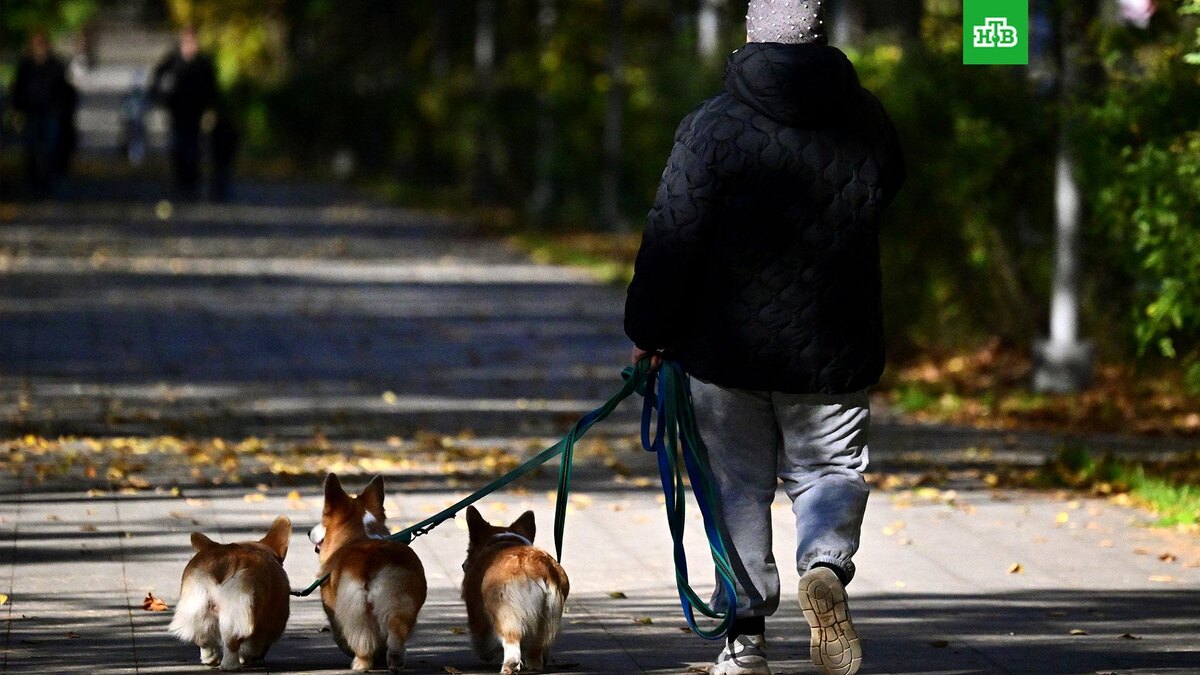    Фото: РИА Новости © 2025, Владимир Федоренко