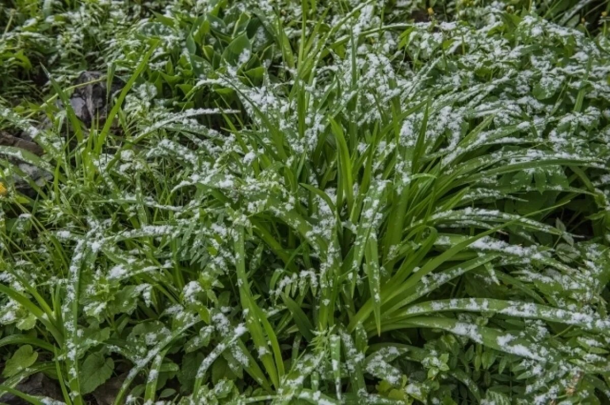    Метеорологи рассказали о погоде на начало октября в Коми