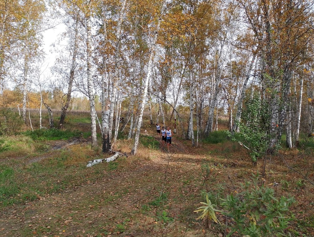 примерно 1 километр