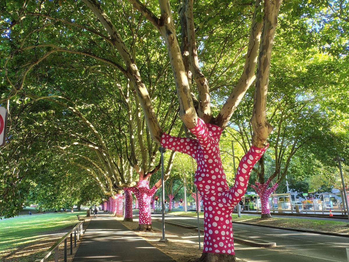 По таким тротуарам приятно гулять даже в жаркую погоду.