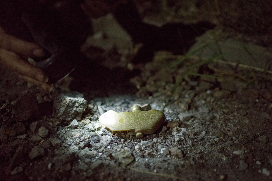    Никита Цицаги/NEWS.ru